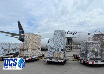 مزایای حمل هوایی فرش