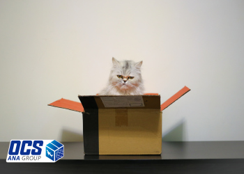 مدارک لازم برای حمل حیوان خانگی به خارج