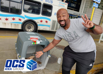 ارسال حیوان خانگی به کشورهای مختلف