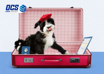 مراحل حمل حیوان خانگی به خارج از کشور