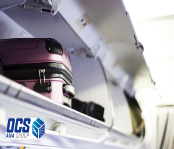 بار دستی در هواپیما