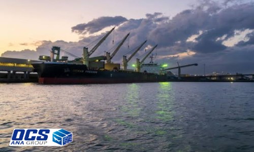 مدارک مورد نیاز برای واردات کالا از عمان