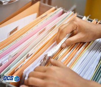 مجوزهای لازم برای ترخیص از دبی