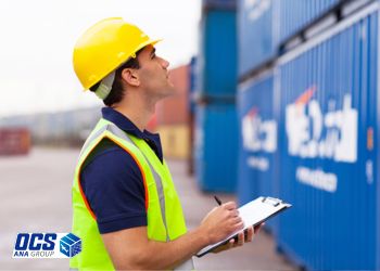 مجوزهای لازم برای ترخیص کالا